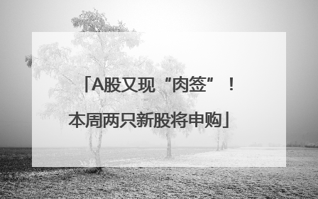 A股又现“肉签”！本周两只新股将申购