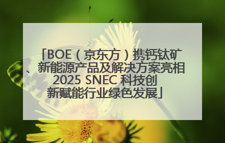 BOE（京东方）携钙钛矿、新能源产品及解决方案亮相2025 SNEC 科技创新赋能行业绿色发展