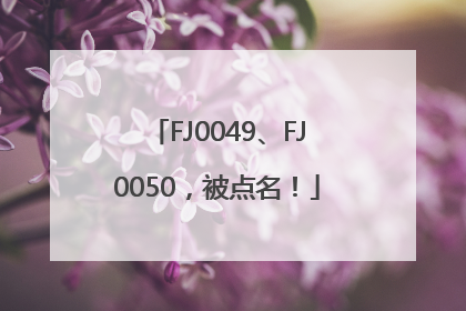 FJ0049、FJ0050，被点名！
