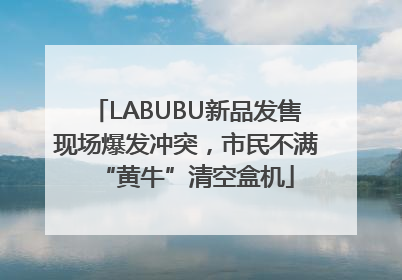 LABUBU新品发售现场爆发冲突，市民不满“黄牛”清空盒机